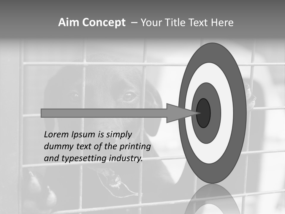 Wires Dog Pet PowerPoint Template