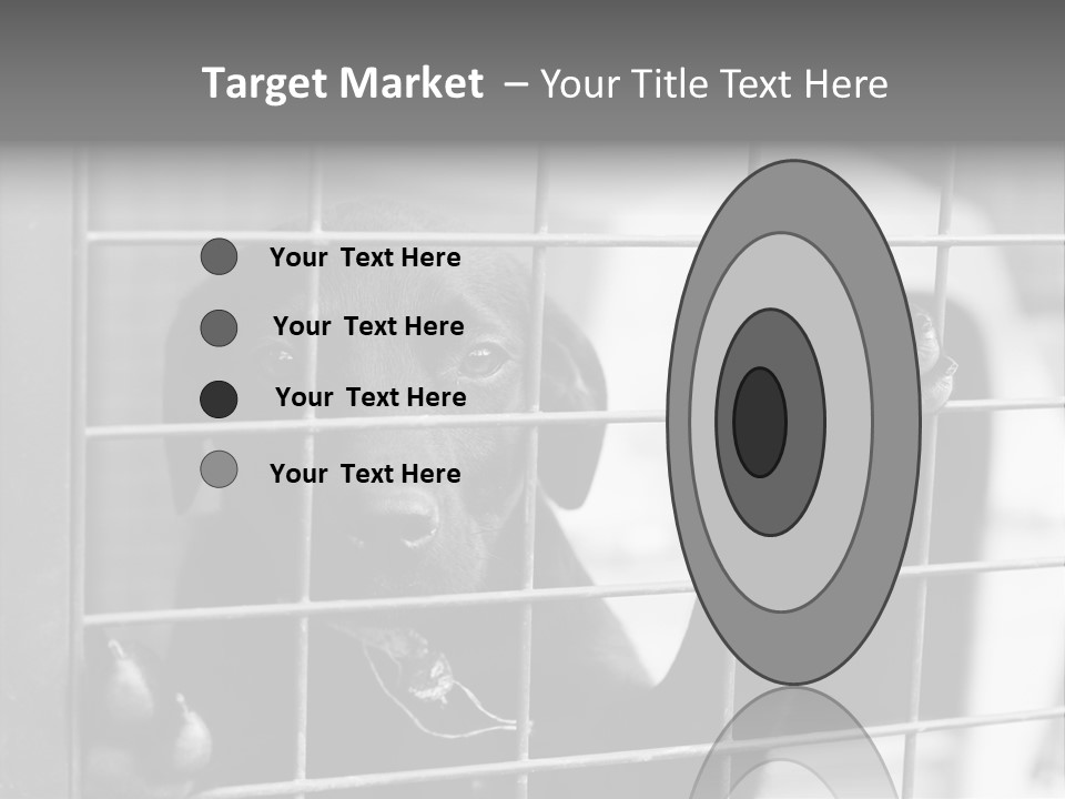 Wires Dog Pet PowerPoint Template