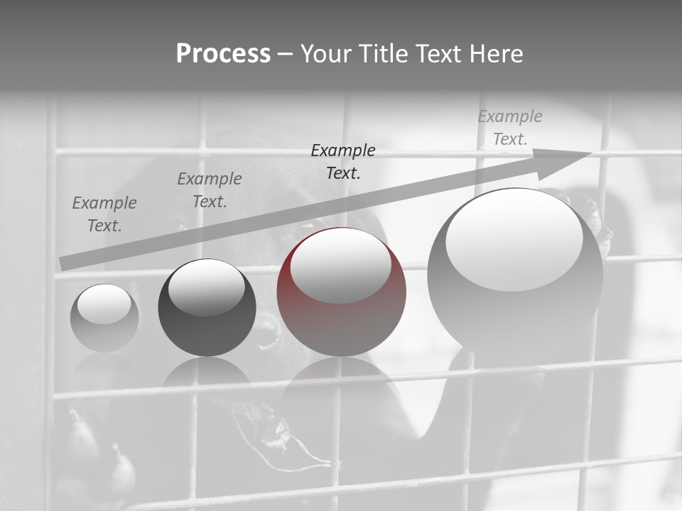 Wires Dog Pet PowerPoint Template