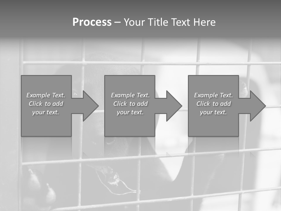 Wires Dog Pet PowerPoint Template