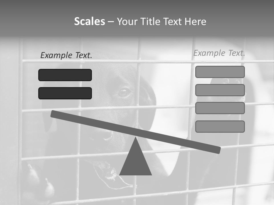 Wires Dog Pet PowerPoint Template