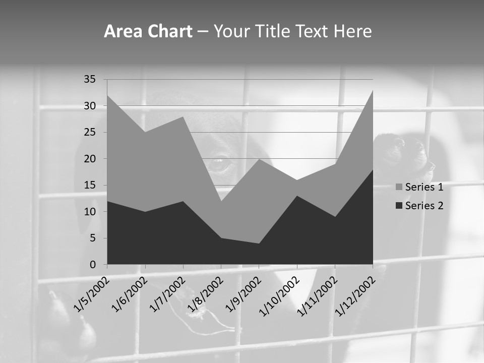Wires Dog Pet PowerPoint Template
