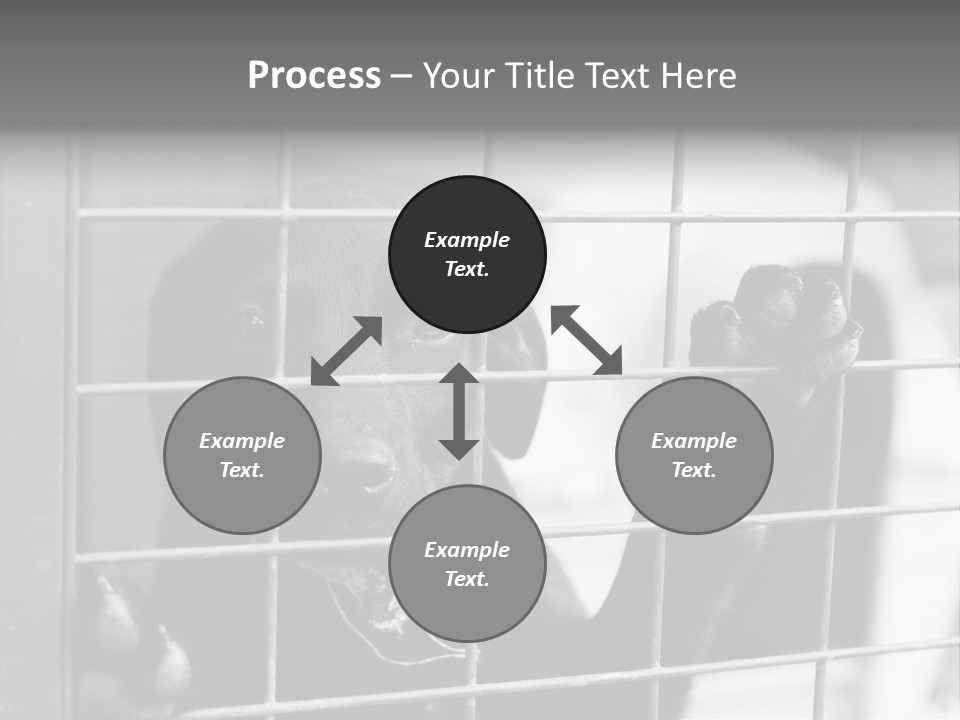 Wires Dog Pet PowerPoint Template