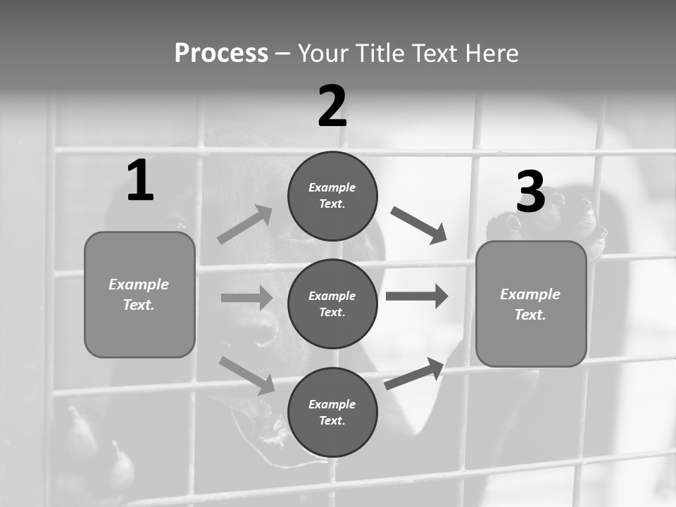 Wires Dog Pet PowerPoint Template