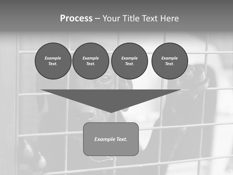 Wires Dog Pet PowerPoint Template