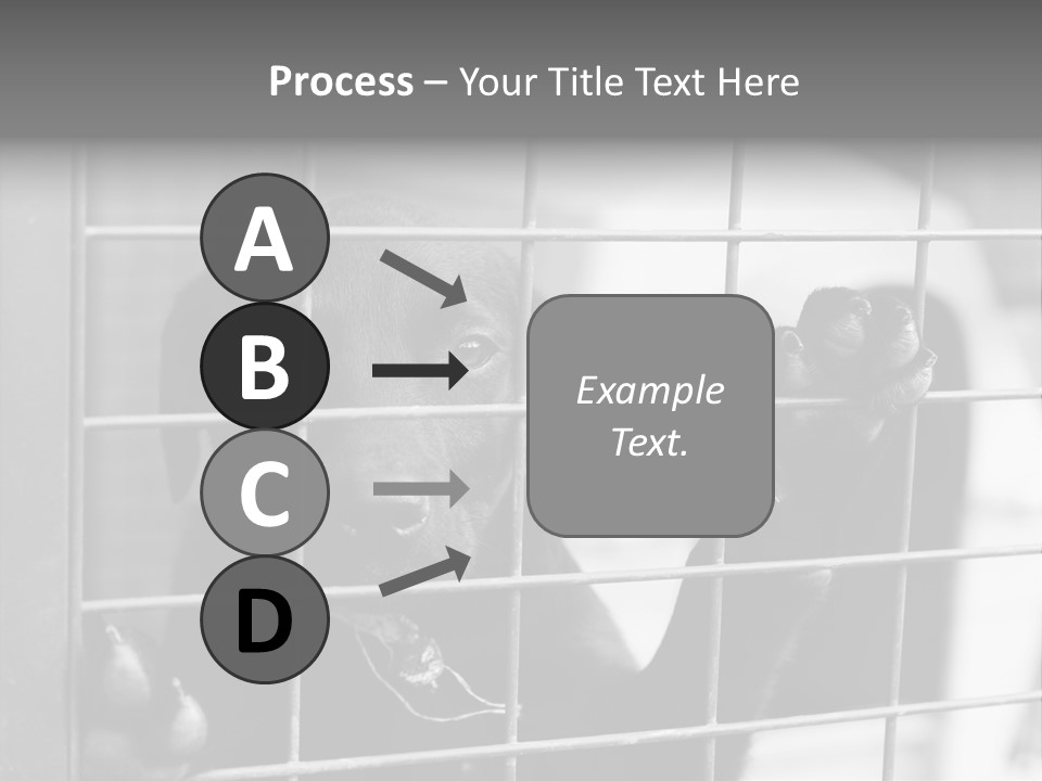 Wires Dog Pet PowerPoint Template