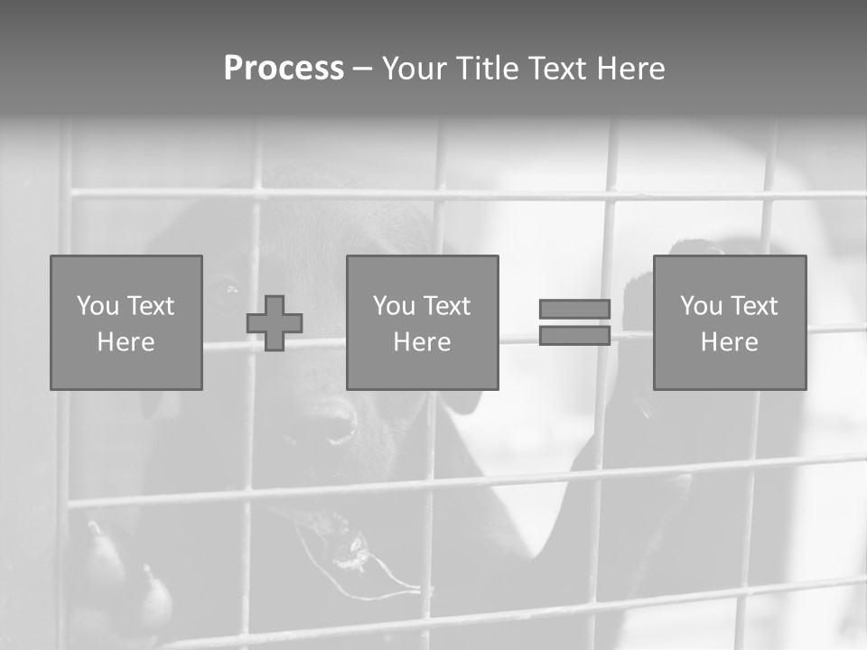 Wires Dog Pet PowerPoint Template