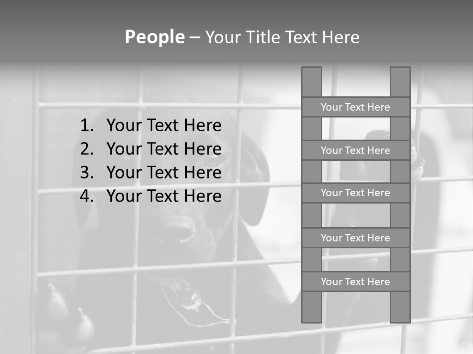 Wires Dog Pet PowerPoint Template