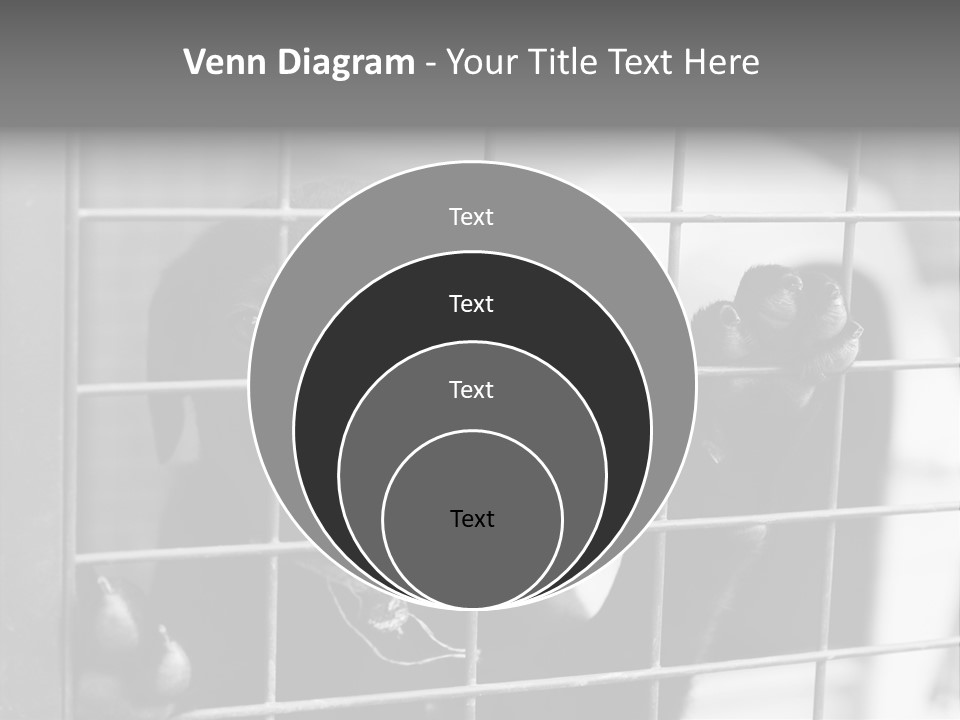 Wires Dog Pet PowerPoint Template