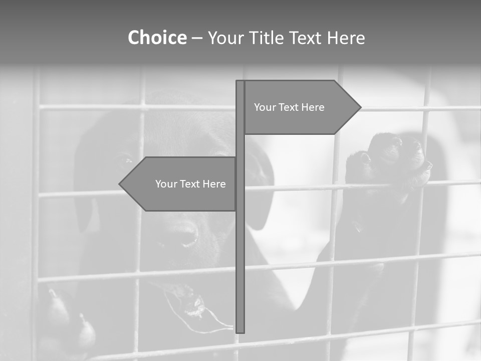 Wires Dog Pet PowerPoint Template