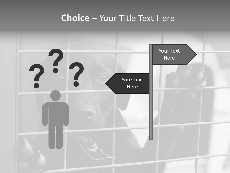 Wires Dog Pet PowerPoint Template