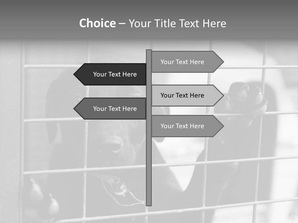 Wires Dog Pet PowerPoint Template