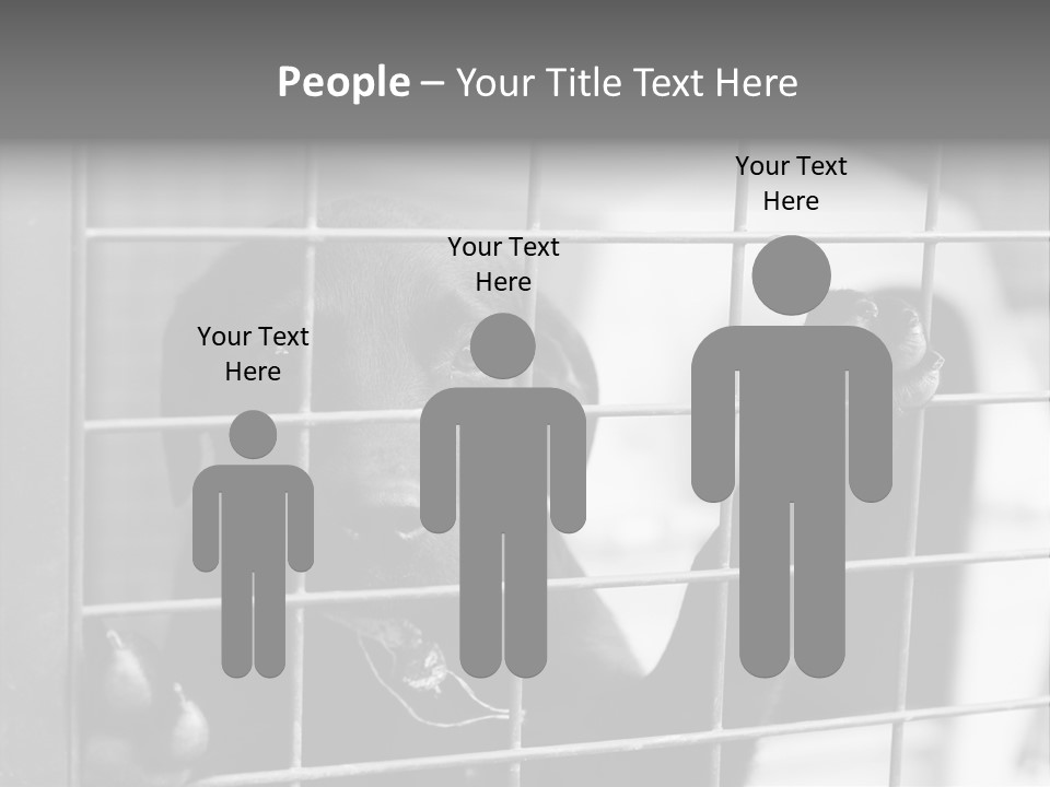 Wires Dog Pet PowerPoint Template