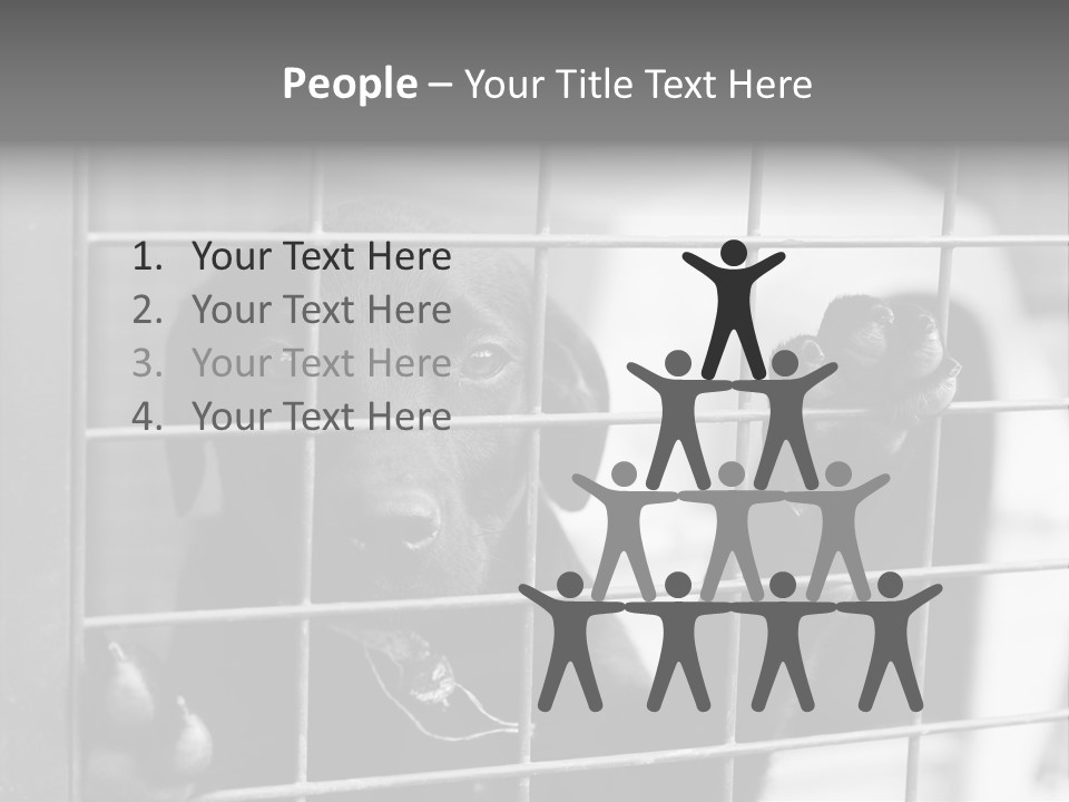 Wires Dog Pet PowerPoint Template