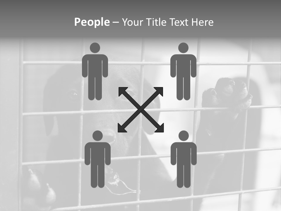 Wires Dog Pet PowerPoint Template