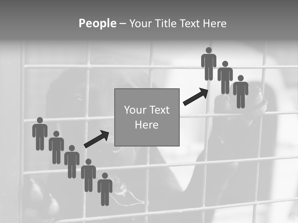 Wires Dog Pet PowerPoint Template