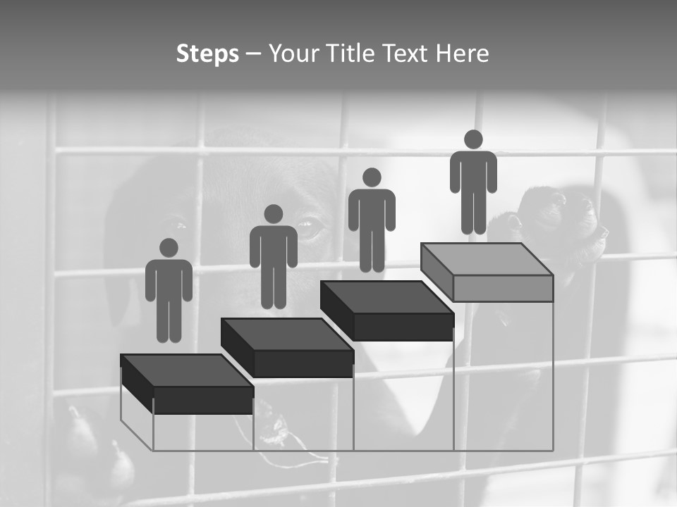 Wires Dog Pet PowerPoint Template