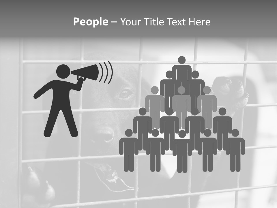 Wires Dog Pet PowerPoint Template