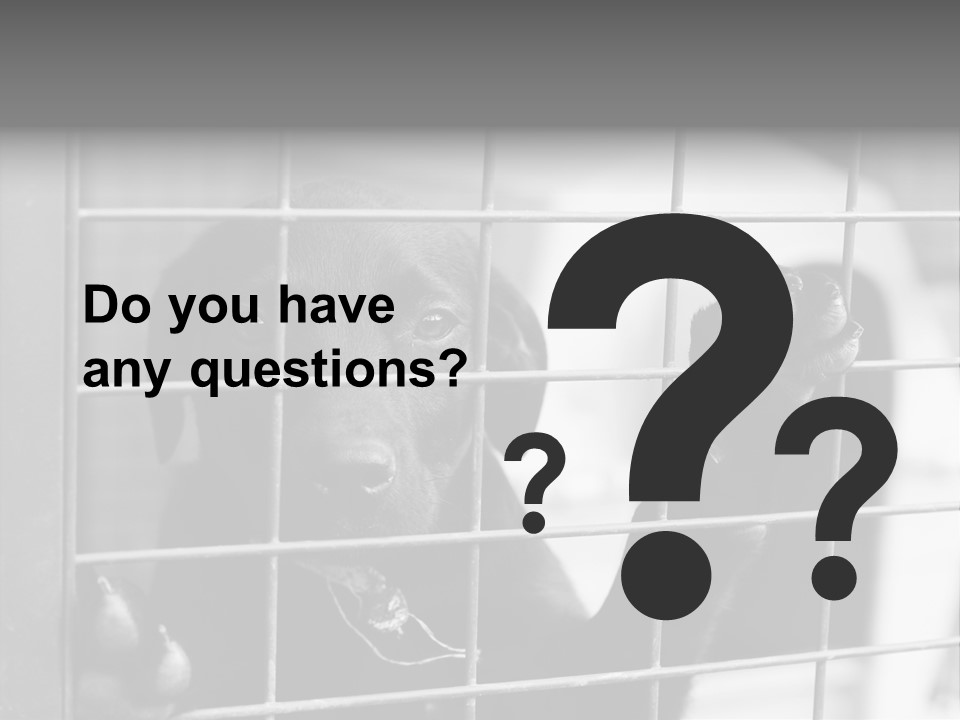 Wires Dog Pet PowerPoint Template