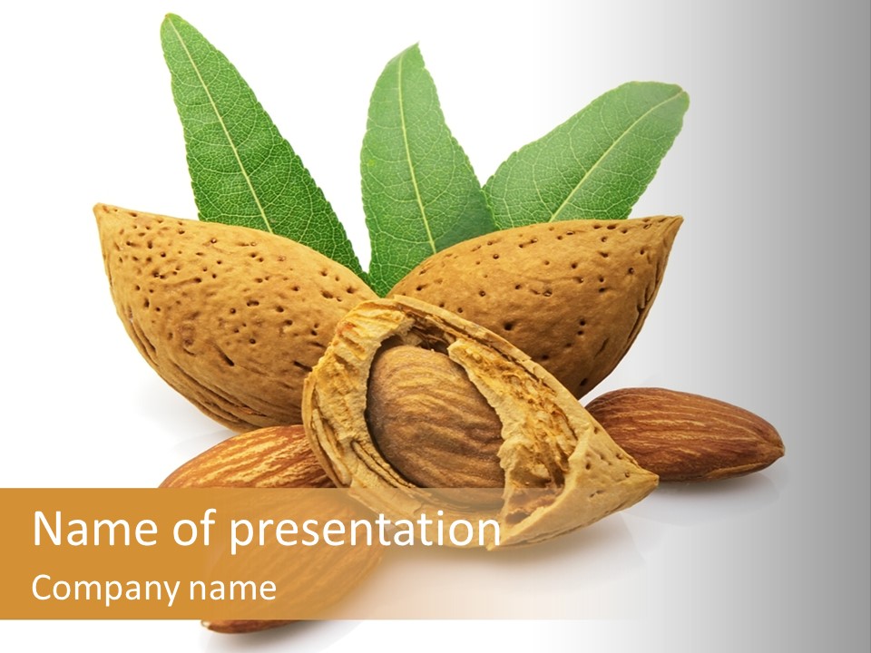 Group Closeup Almond PowerPoint Template