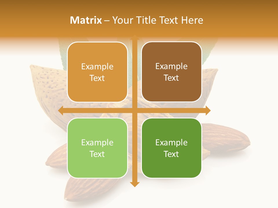 Group Closeup Almond PowerPoint Template