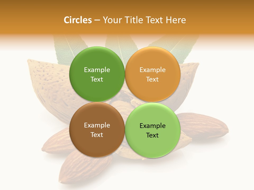Group Closeup Almond PowerPoint Template
