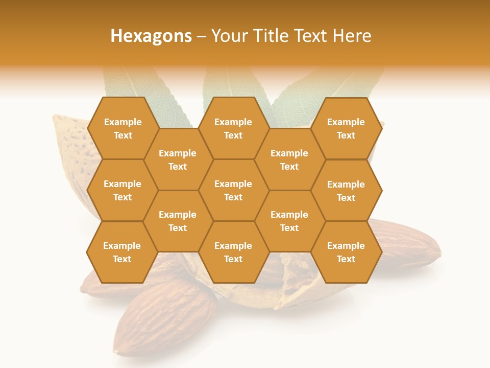 Group Closeup Almond PowerPoint Template
