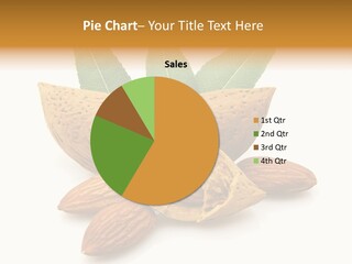 Group Closeup Almond PowerPoint Template