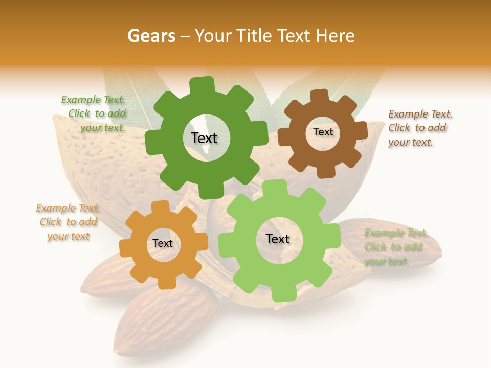 Group Closeup Almond PowerPoint Template