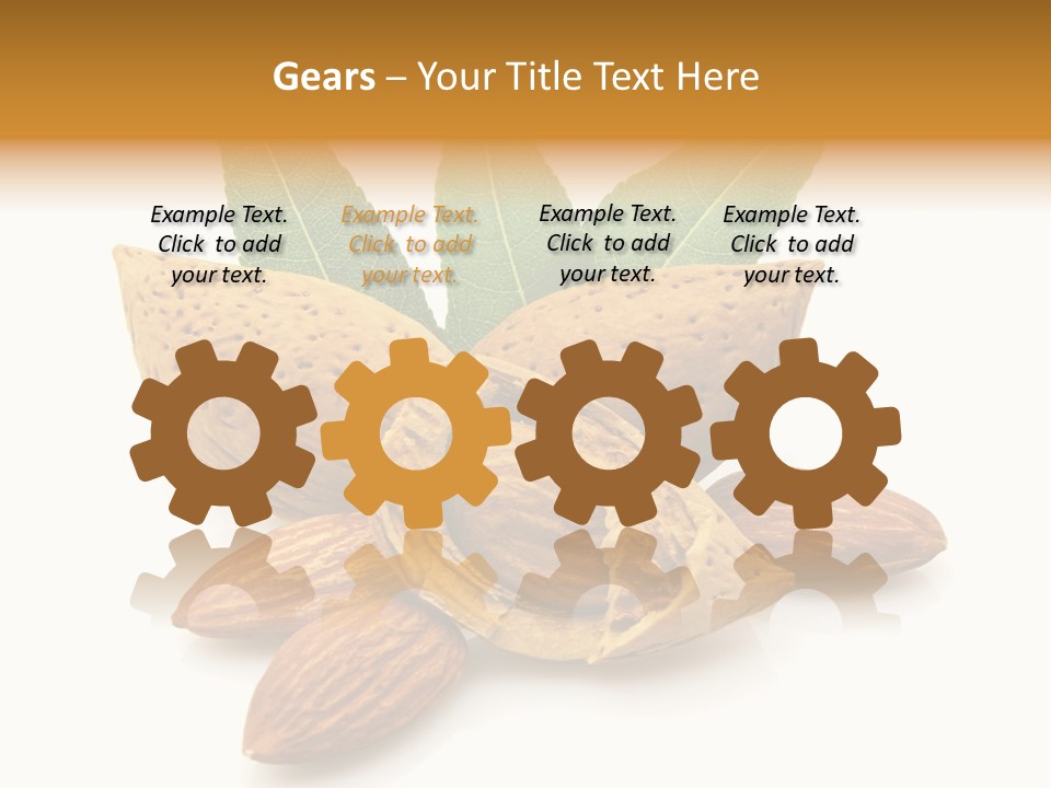 Group Closeup Almond PowerPoint Template