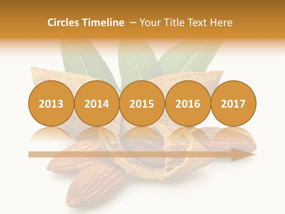 Group Closeup Almond PowerPoint Template