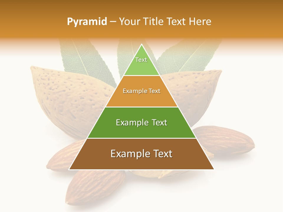 Group Closeup Almond PowerPoint Template