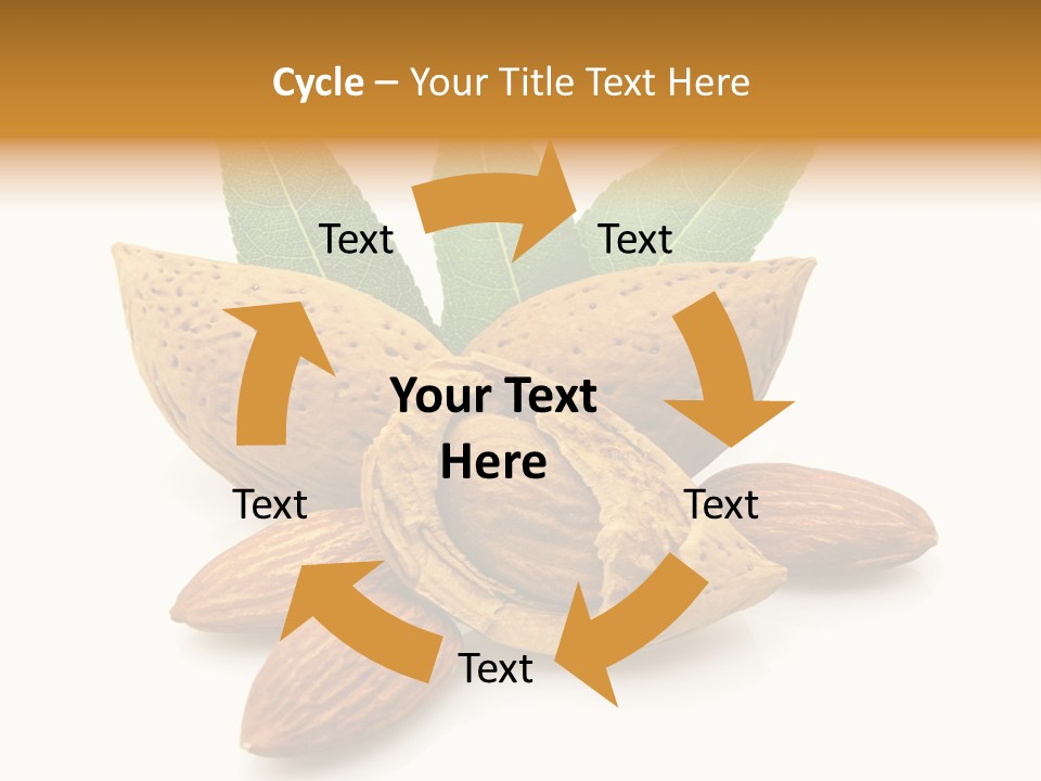 Group Closeup Almond PowerPoint Template