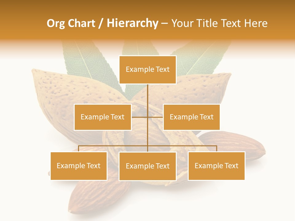 Group Closeup Almond PowerPoint Template