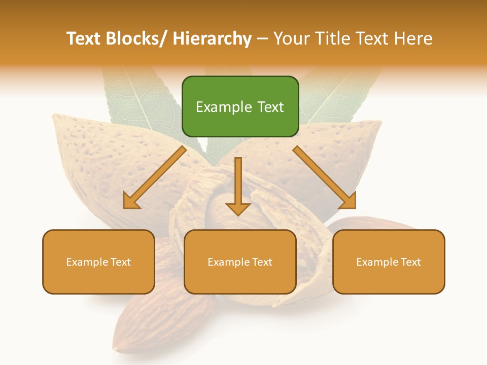 Group Closeup Almond PowerPoint Template