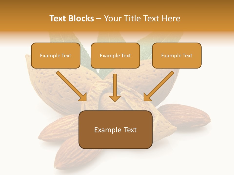 Group Closeup Almond PowerPoint Template