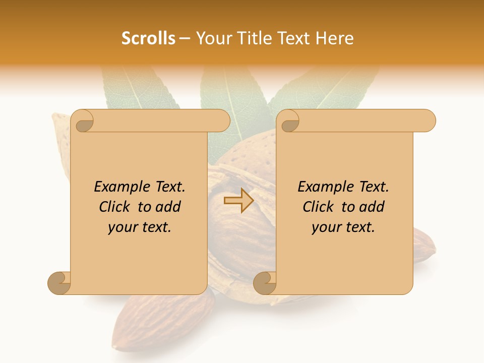 Group Closeup Almond PowerPoint Template