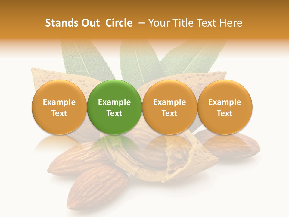 Group Closeup Almond PowerPoint Template