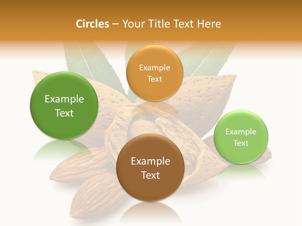 Group Closeup Almond PowerPoint Template