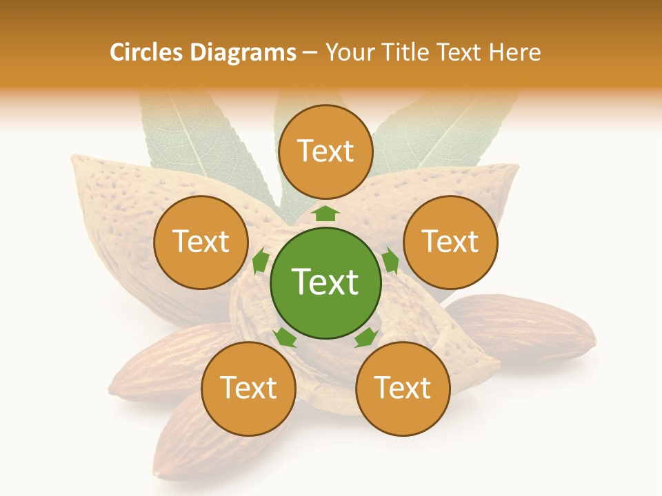 Group Closeup Almond PowerPoint Template