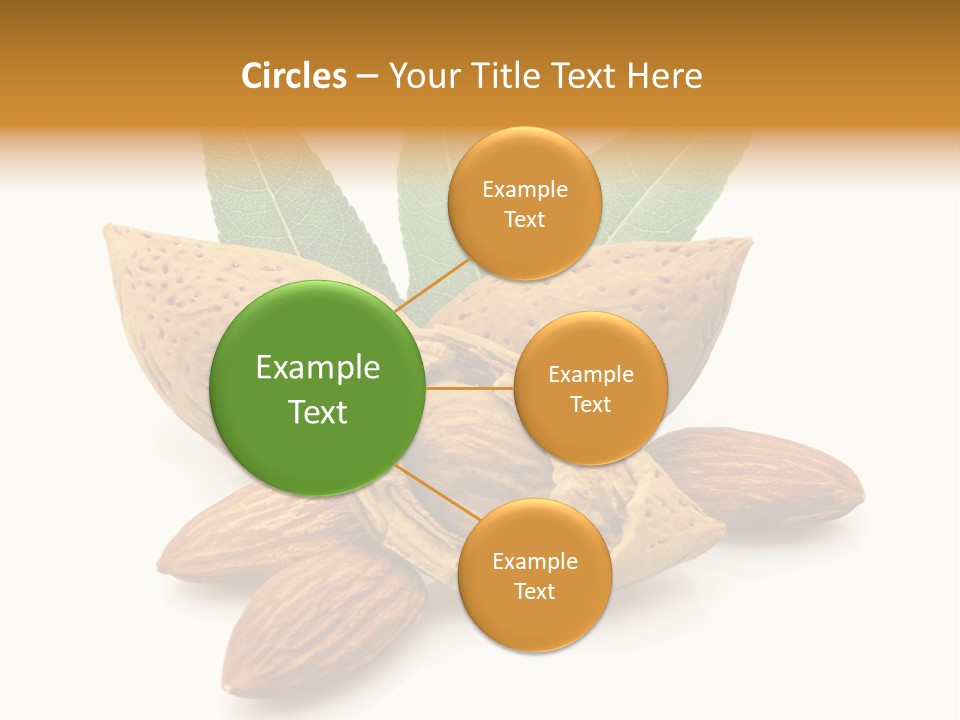 Group Closeup Almond PowerPoint Template
