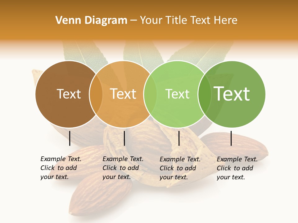 Group Closeup Almond PowerPoint Template