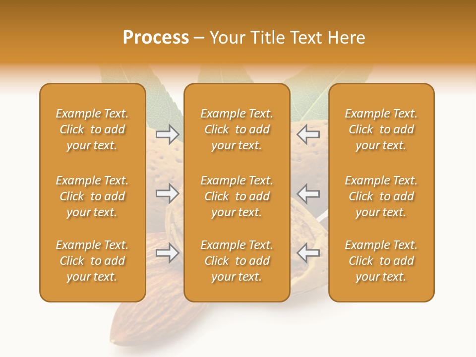 Group Closeup Almond PowerPoint Template