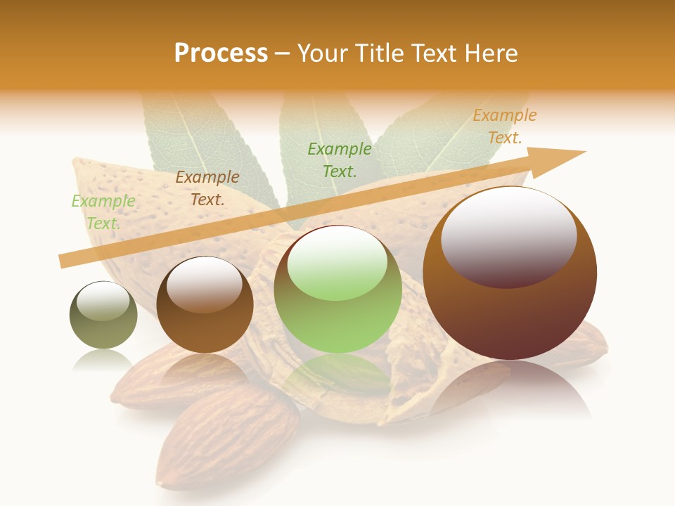 Group Closeup Almond PowerPoint Template