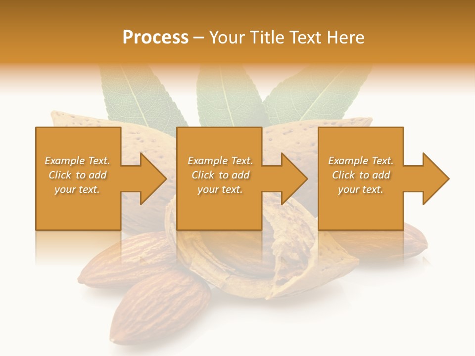 Group Closeup Almond PowerPoint Template