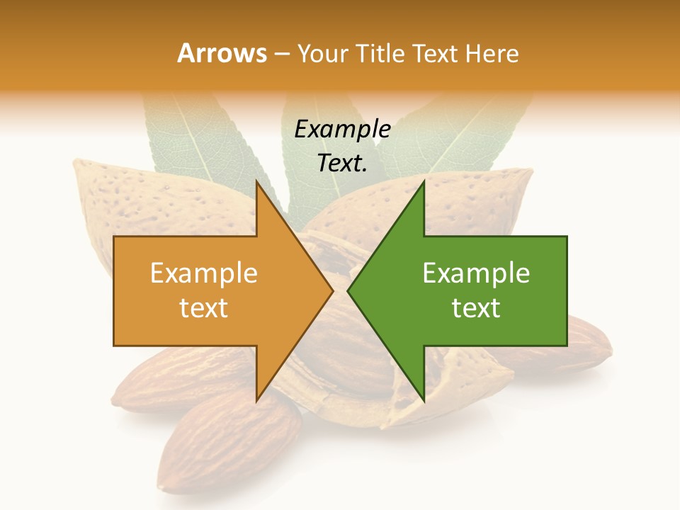 Group Closeup Almond PowerPoint Template