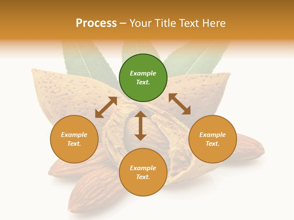 Group Closeup Almond PowerPoint Template