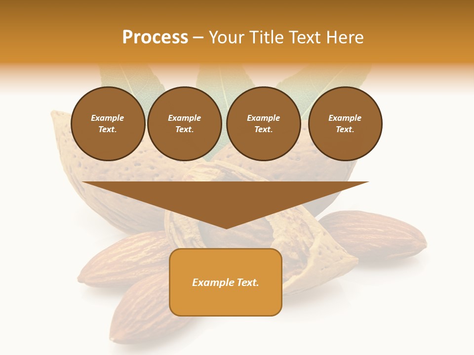 Group Closeup Almond PowerPoint Template