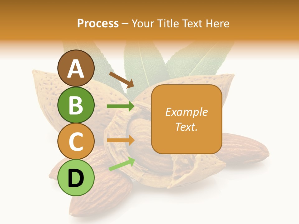 Group Closeup Almond PowerPoint Template