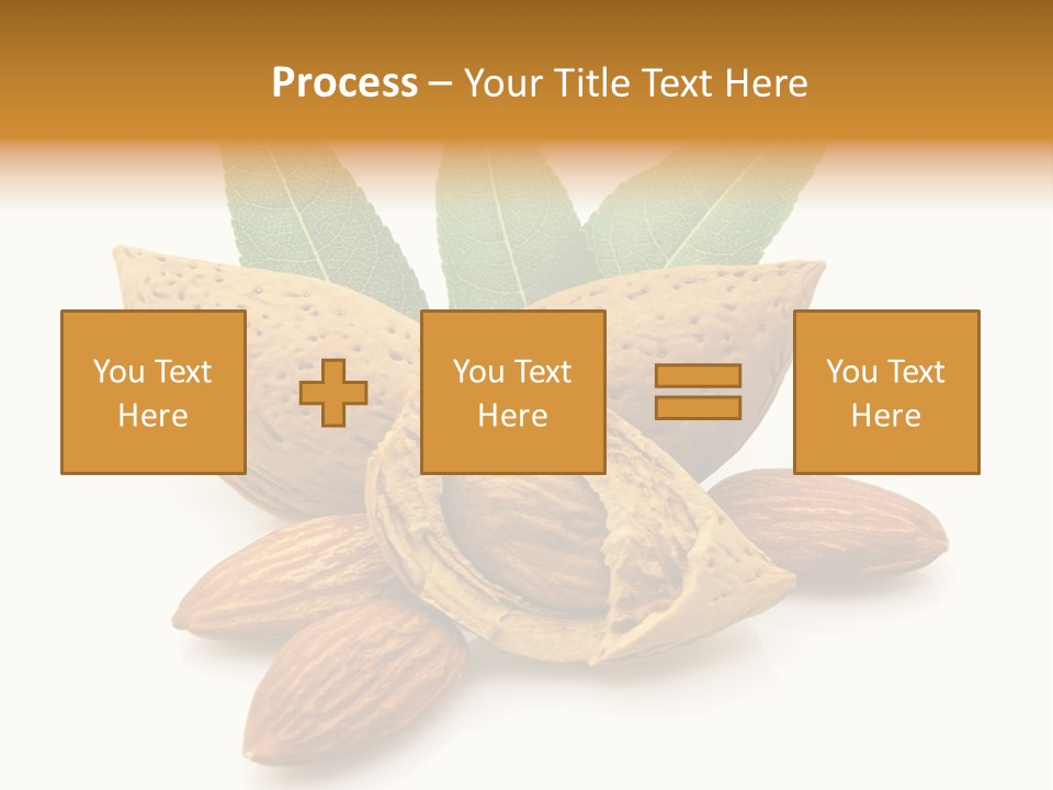 Group Closeup Almond PowerPoint Template